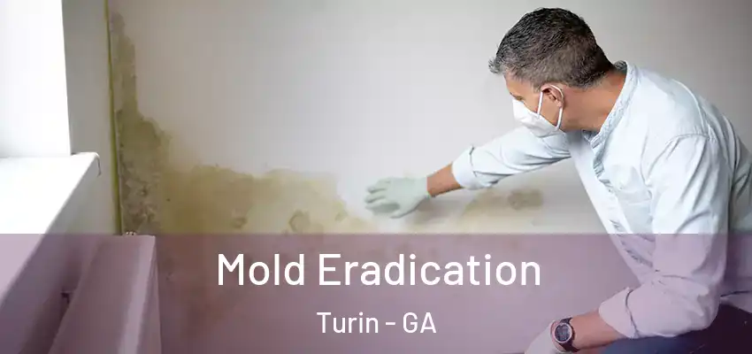  Mold Eradication Turin - GA
