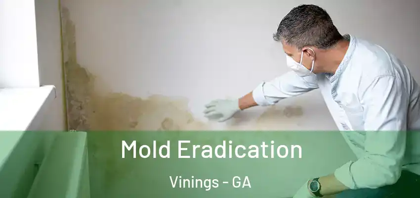  Mold Eradication Vinings - GA