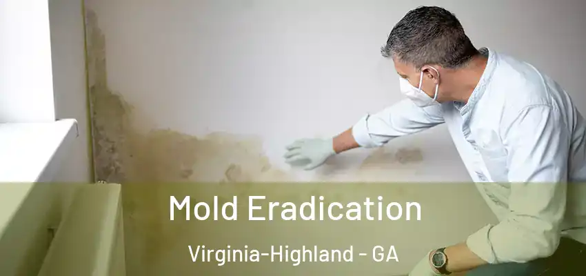 Mold Eradication Virginia-Highland - GA