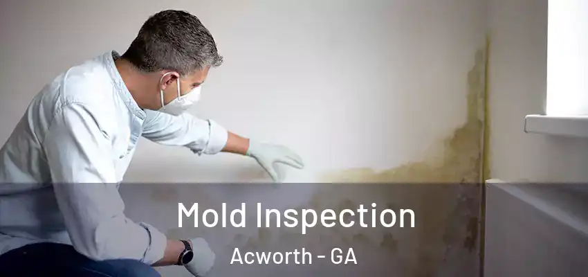 Mold Inspection Acworth - GA