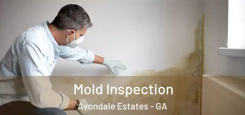  Mold Inspection Avondale Estates - GA