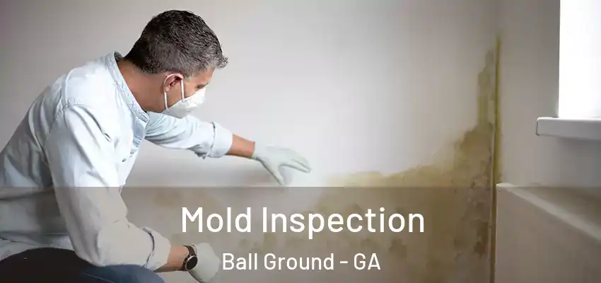  Mold Inspection Ball Ground - GA