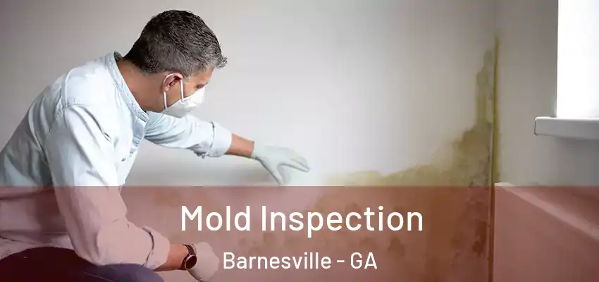  Mold Inspection Barnesville - GA