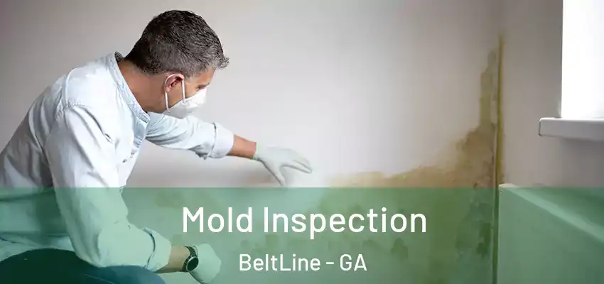  Mold Inspection BeltLine - GA