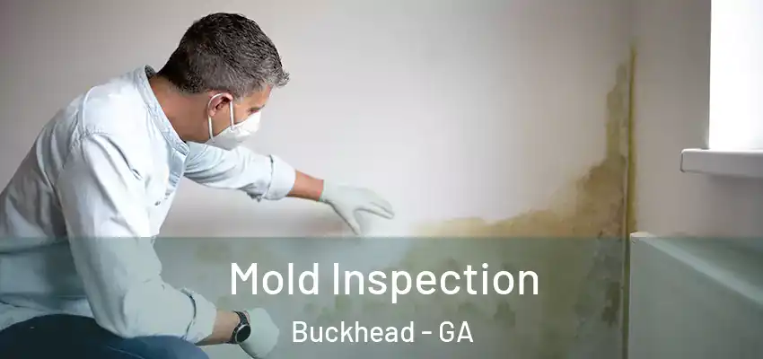  Mold Inspection Buckhead - GA