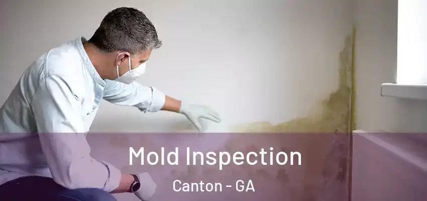  Mold Inspection Canton - GA
