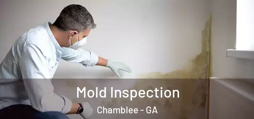  Mold Inspection Chamblee - GA