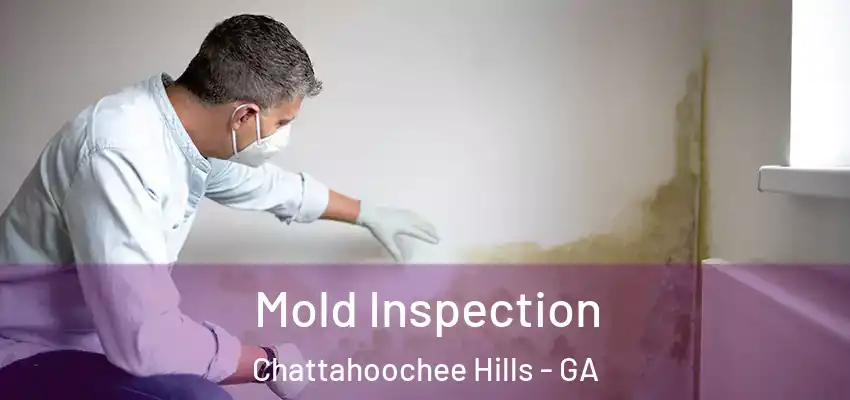  Mold Inspection Chattahoochee Hills - GA