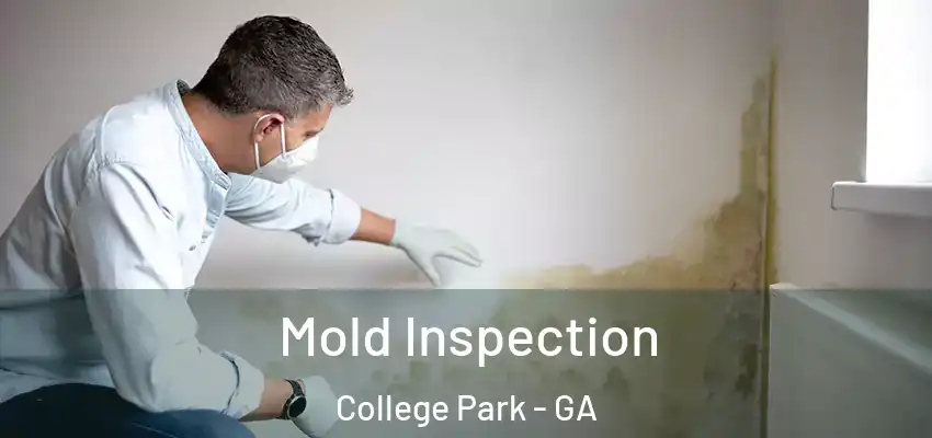  Mold Inspection College Park - GA