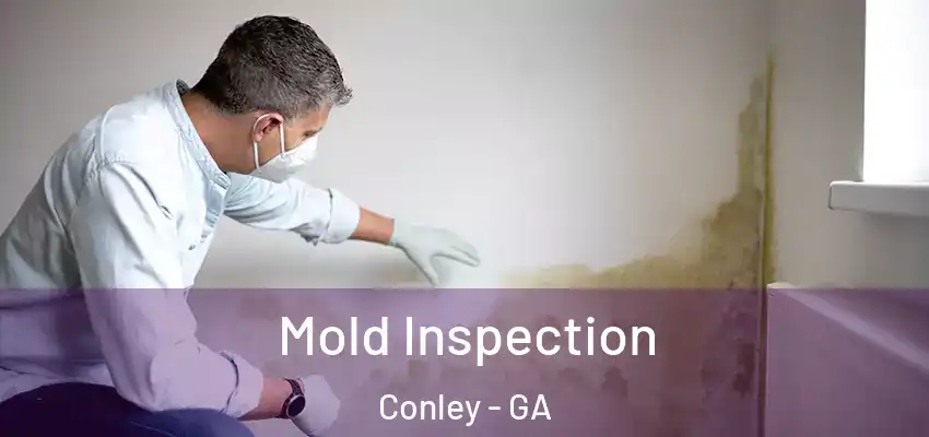  Mold Inspection Conley - GA