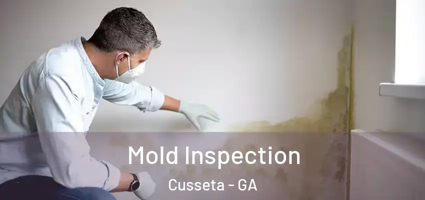 Mold Inspection Cusseta - GA