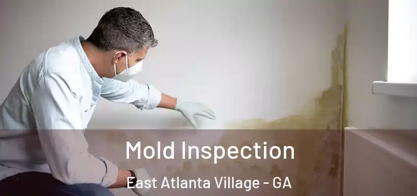 Mold Inspection East Atlanta Village - GA