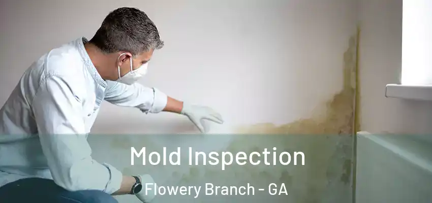  Mold Inspection Flowery Branch - GA
