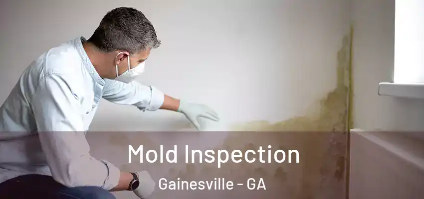 Mold Inspection Gainesville - GA