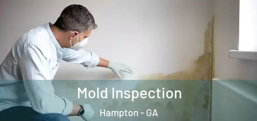  Mold Inspection Hampton - GA