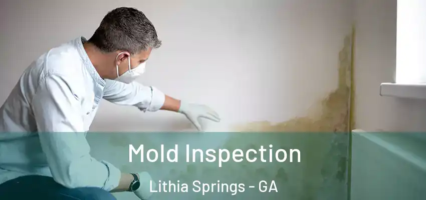  Mold Inspection Lithia Springs - GA