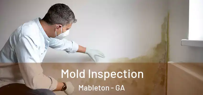  Mold Inspection Mableton - GA