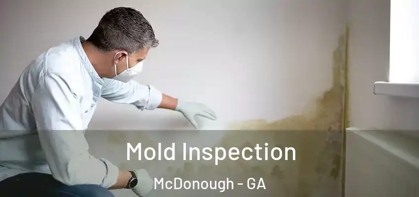 Mold Inspection McDonough - GA