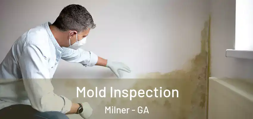  Mold Inspection Milner - GA