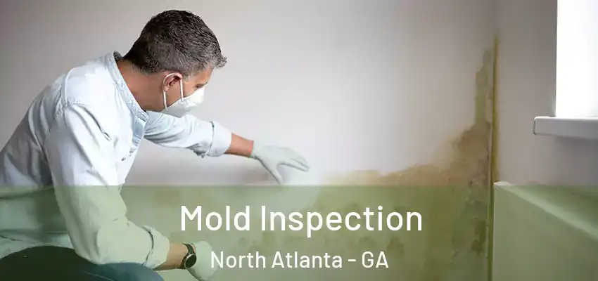  Mold Inspection North Atlanta - GA