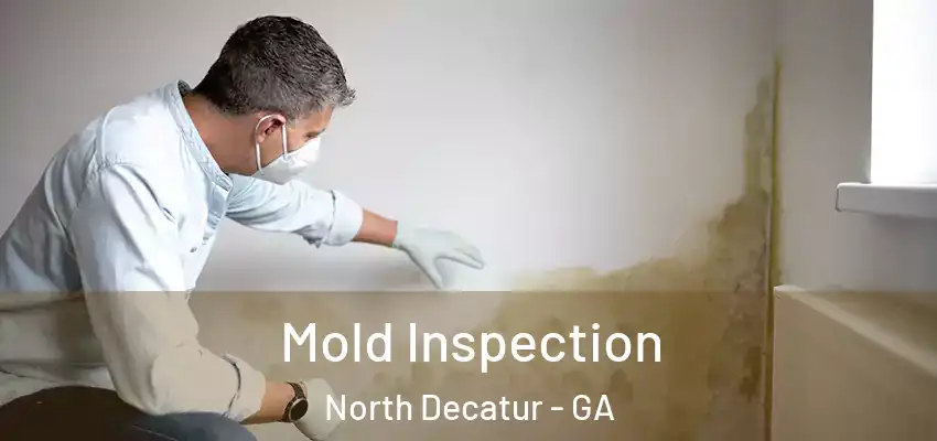  Mold Inspection North Decatur - GA