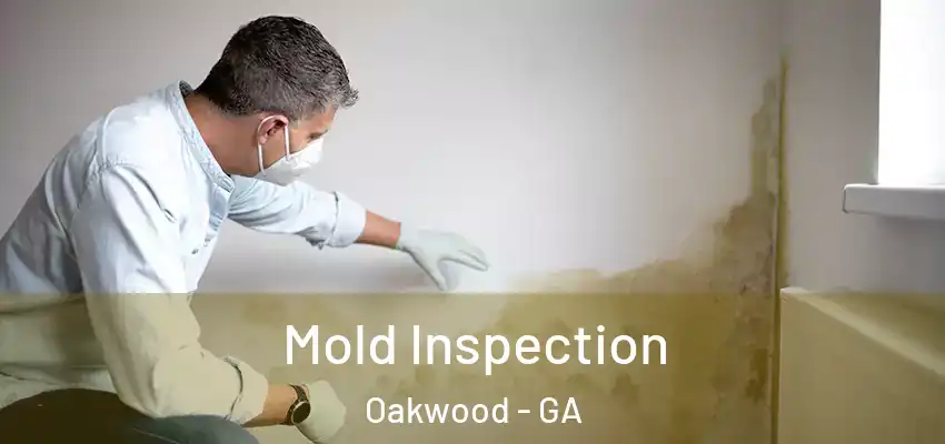 Mold Inspection Oakwood - GA