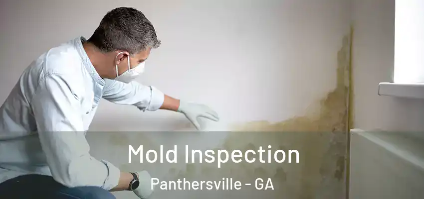 Mold Inspection Panthersville - GA