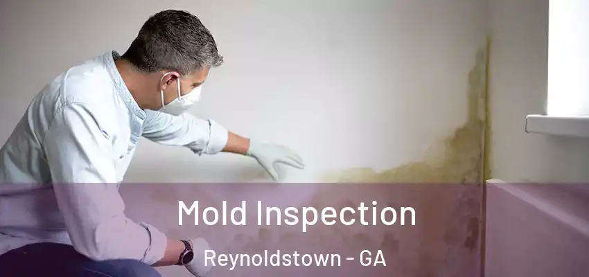  Mold Inspection Reynoldstown - GA