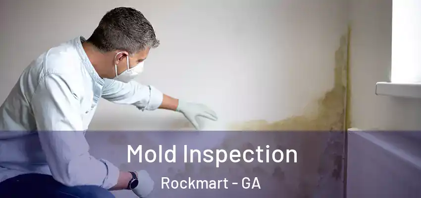  Mold Inspection Rockmart - GA