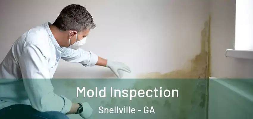  Mold Inspection Snellville - GA