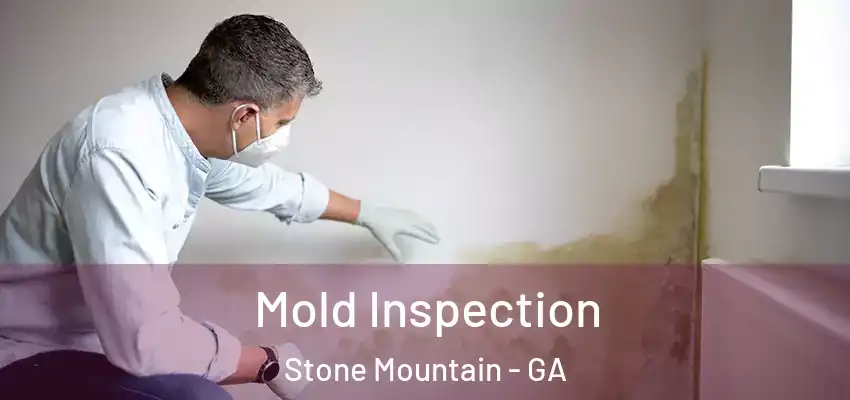  Mold Inspection Stone Mountain - GA