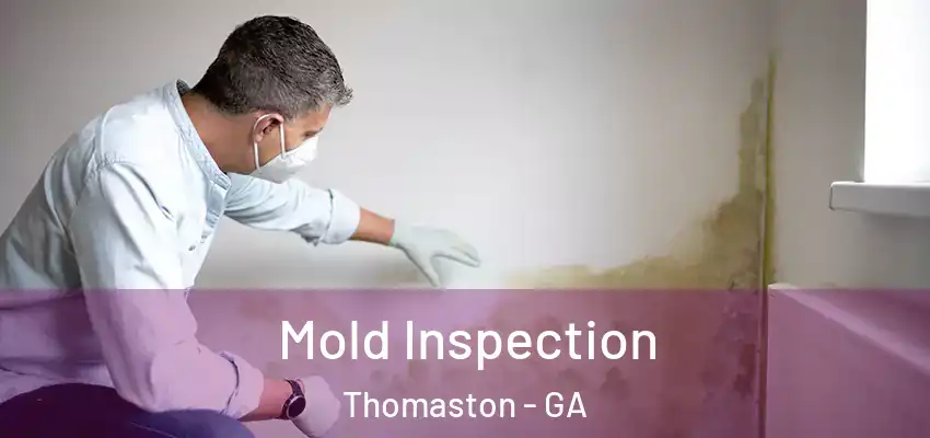 Mold Inspection Thomaston - GA