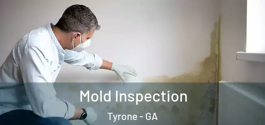  Mold Inspection Tyrone - GA