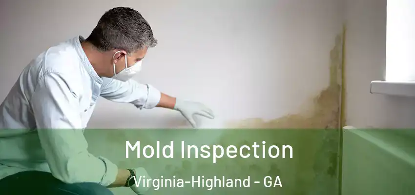  Mold Inspection Virginia-Highland - GA