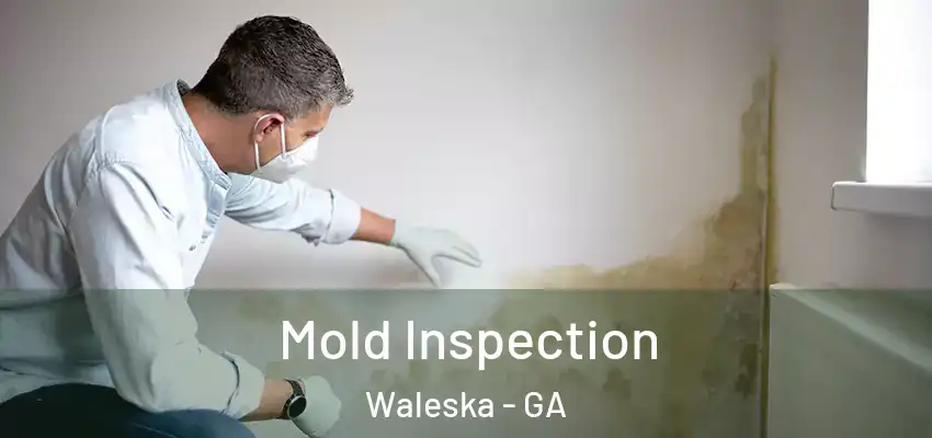  Mold Inspection Waleska - GA