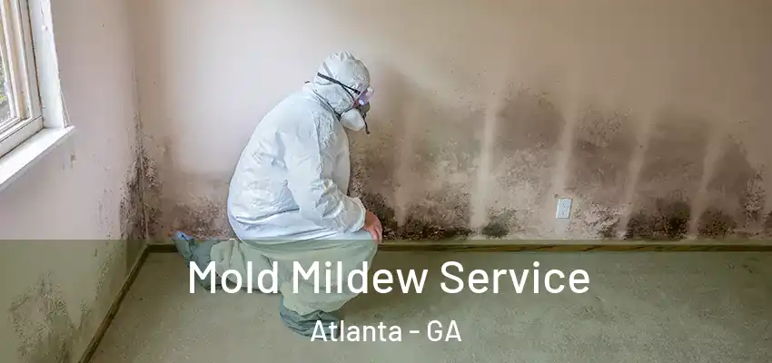  Mold Mildew Service Atlanta - GA