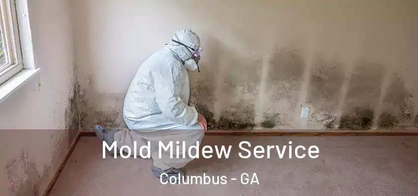 Mold Mildew Service Columbus - GA