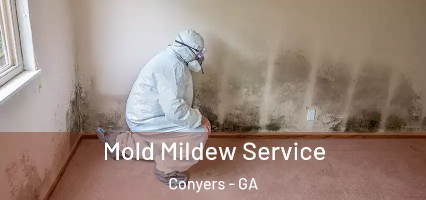  Mold Mildew Service Conyers - GA
