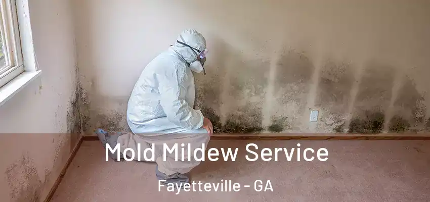 Mold Mildew Service Fayetteville - GA