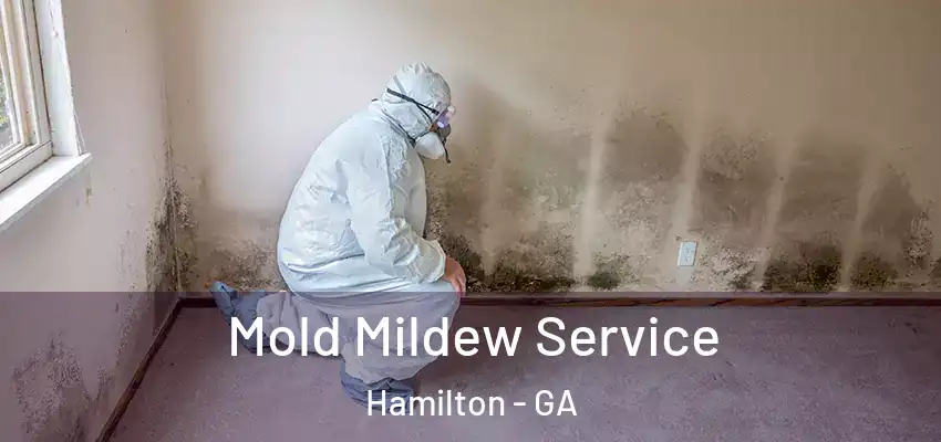 Mold Mildew Service Hamilton - GA