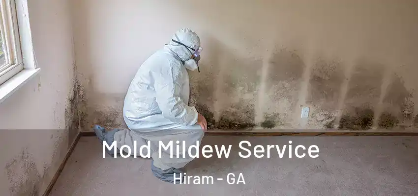 Mold Mildew Service Hiram - GA