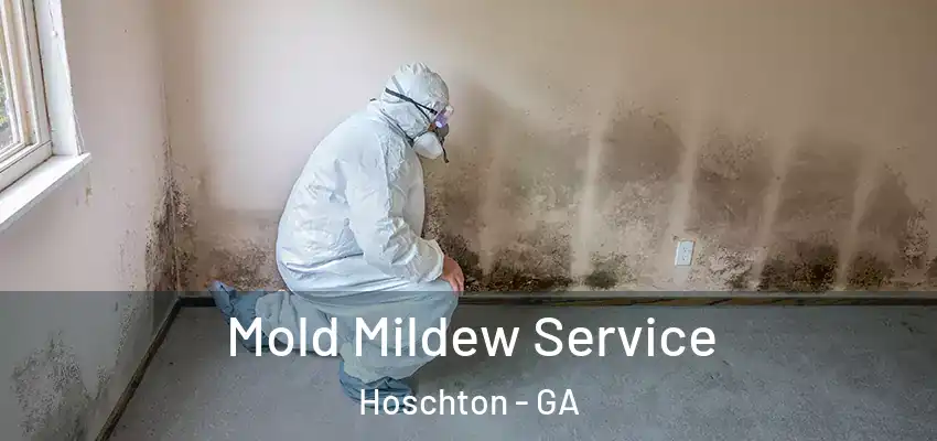  Mold Mildew Service Hoschton - GA
