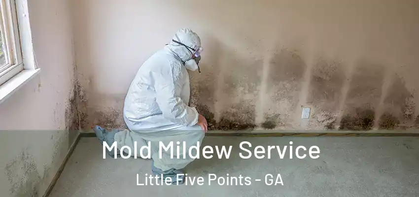 Mold Mildew Service Little Five Points - GA