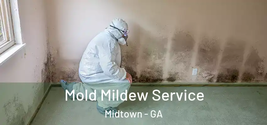  Mold Mildew Service Midtown - GA
