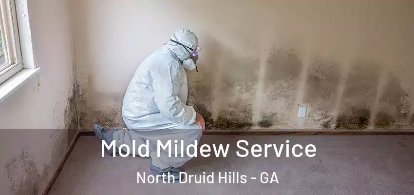 Mold Mildew Service North Druid Hills - GA