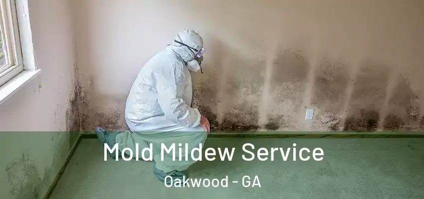  Mold Mildew Service Oakwood - GA