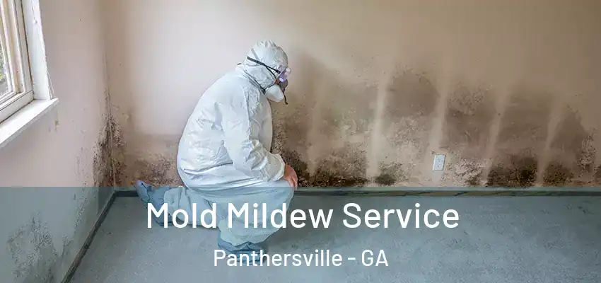 Mold Mildew Service Panthersville - GA