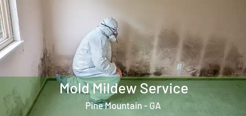  Mold Mildew Service Pine Mountain - GA