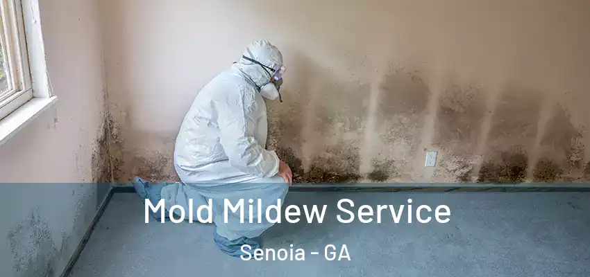 Mold Mildew Service Senoia - GA