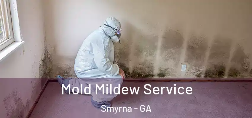  Mold Mildew Service Smyrna - GA